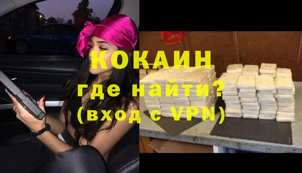 трава Магас